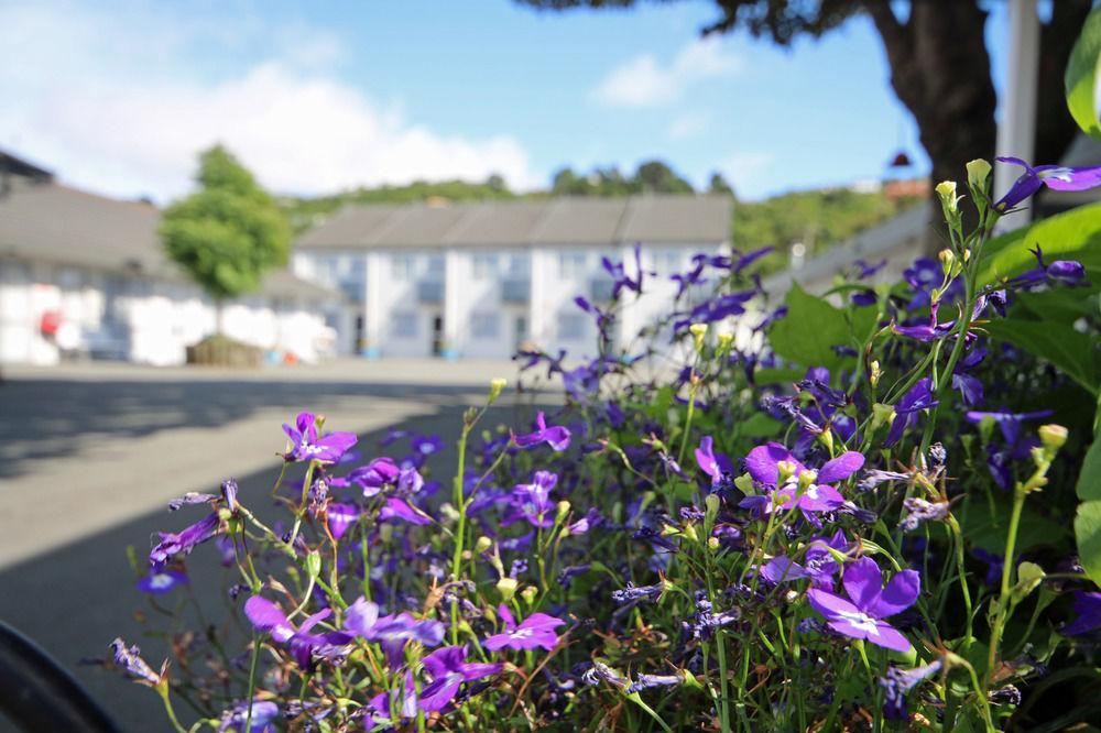 Midway Pacifica Lodge Lower Hutt Esterno foto